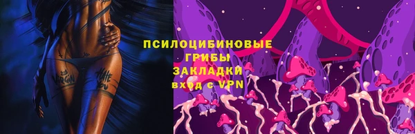 дмт Богородицк