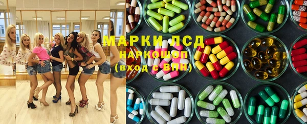 трава Новозыбков