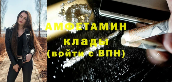 трава Новозыбков