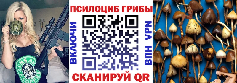 Псилоцибиновые грибы Psilocybine cubensis сайты даркнета наркотические препараты Мосальск